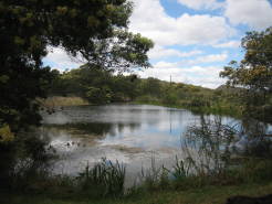 garden11