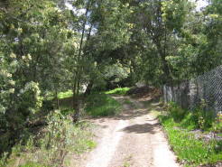 garden25