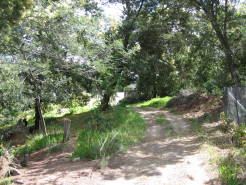 garden26