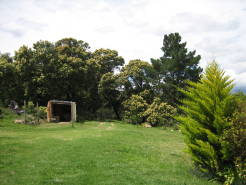 garden31