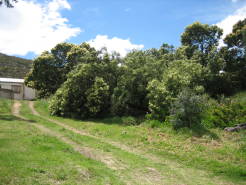 garden34