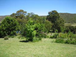 garden44