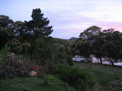 garden4