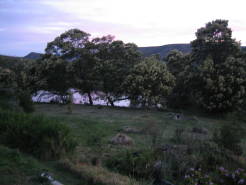 garden5