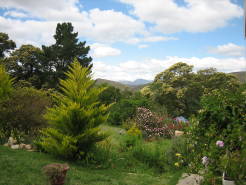 garden7