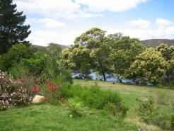 The Cottage Garden