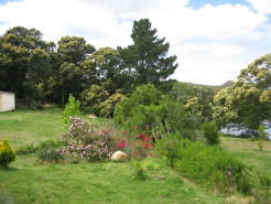 garden9
