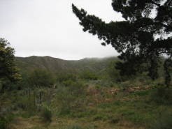 surrounds10