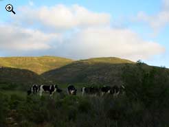 farm surrounds