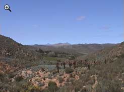 farm surrounds