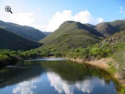 The Farm Surrounds